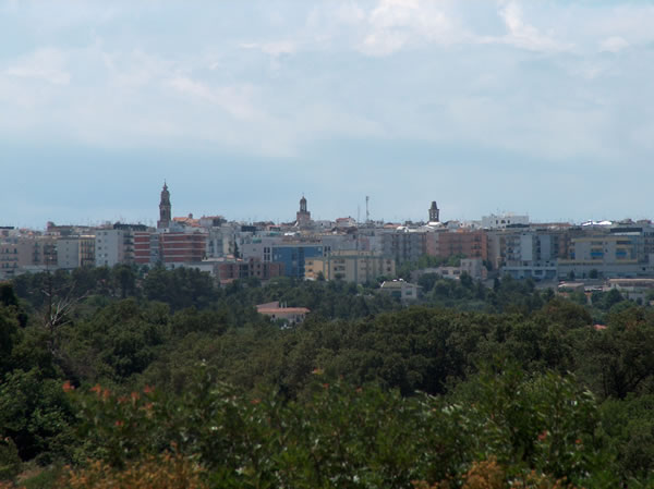 Noci