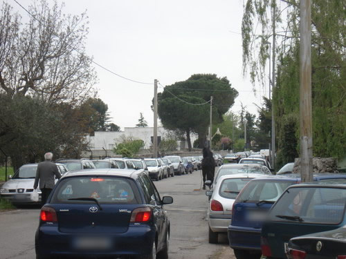 2009_04_19_mostra-bovina_01_resize