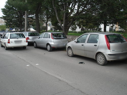 2009_04_19_mostra-bovina_04_resize