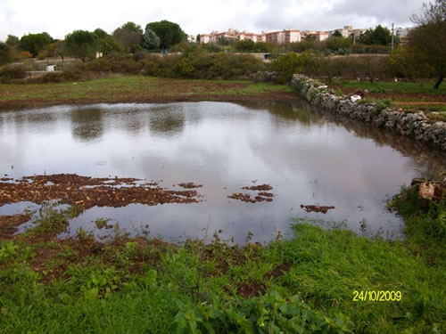 alluvione2