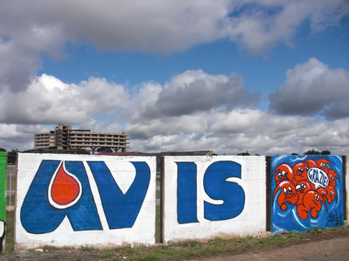avis-09