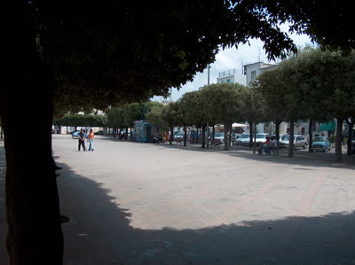 focus-traffico_3