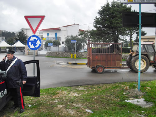 foto2c_luogo_aggressione_foro_boario