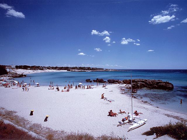 mare