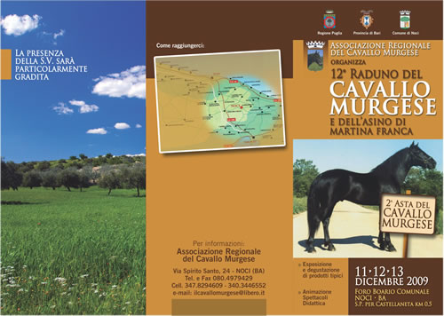 murgese2009-