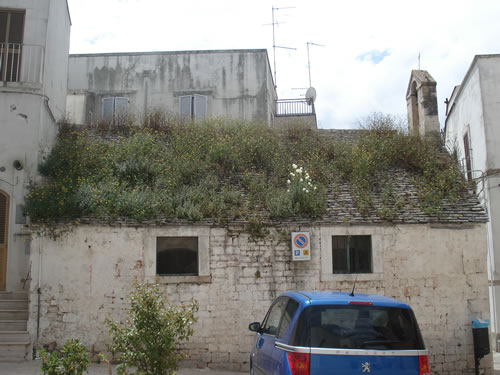 avviso-ordinanza-erbacce-e-facciate-bianche