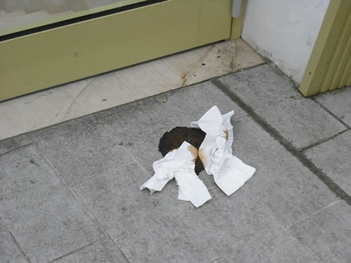 cronaca-escrementi_umani