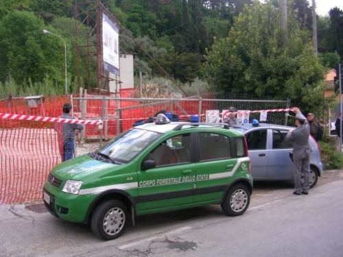 cronaca-forestale_sequestro_cg
