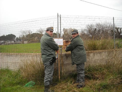 cronaca-sigilli-forestali