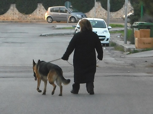 cronana-cane-a-passeggio