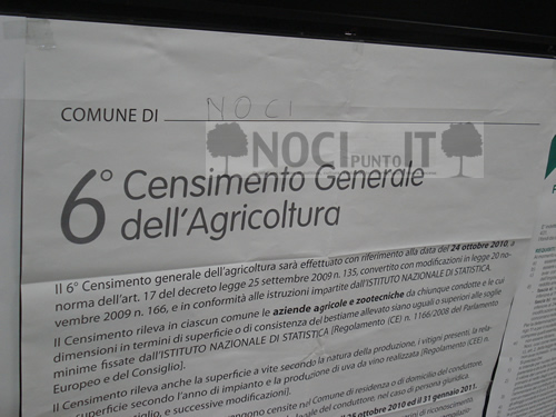 palazzo-di-citta-6-censimento-agricoltura