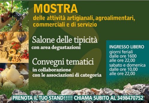 eventi-_murgia_fiera_2010