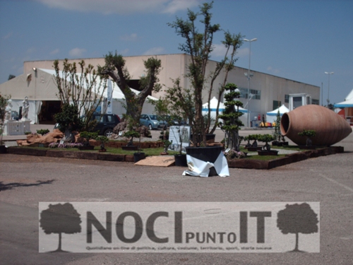 eventi-fiera_murgia08