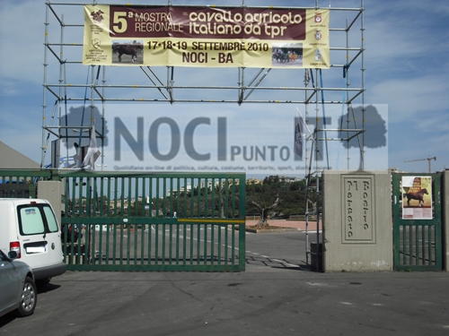 mostra-_cai_al_foro_boario_2010