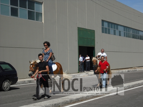 mostra-passeggiata_con_halfiger
