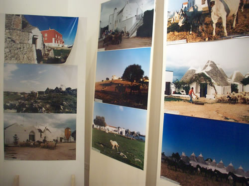 mostra-terra-delle-noci-01