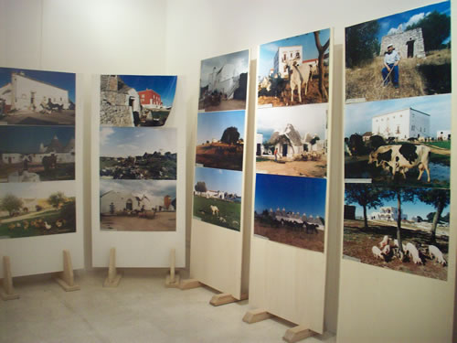 mostra-terra-delle-noci-02
