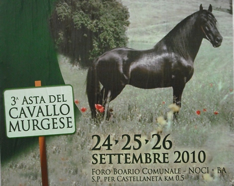 mostre-cavallo_murgese_front10