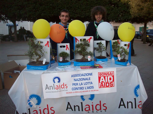 associazioni-bonsai-aids-2010