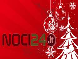 12-25-natale-noci24