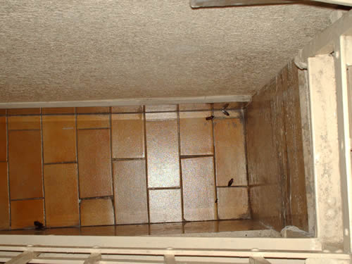 06-06-blatte-in-citta-2