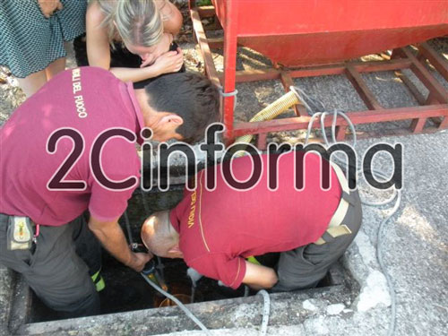 08-03-vvff_per_gattino