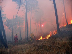 09-30-bosco_in_fiamme