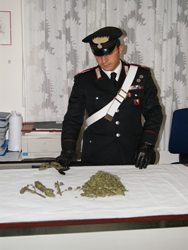 10-28-marijuana-noci