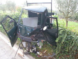 10-31-ape_incidentato