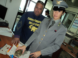 11-05-sequestro-tartarughe