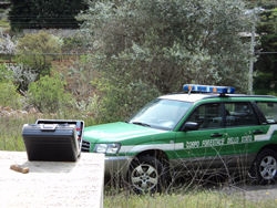 12-02-volante-verde-cfs