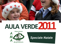 12-22-aula-verde-natale