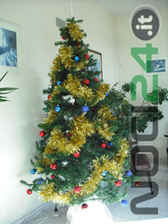 12-25-albero-natale-cc