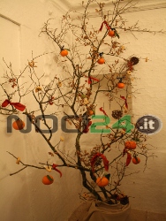 12-28AlberodiNatale