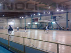 11-22-azione noci azzurri