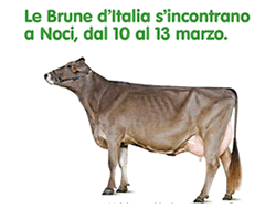 03-13-mostra-bovina
