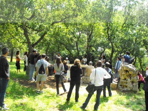 06-03-Murgiambiente_bosco_di_maggio