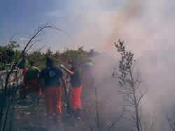 08-23-incendio-san-pio
