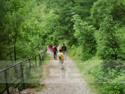 09-18-Green-Walking
