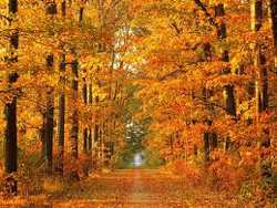09-22-sentiero-dautunno