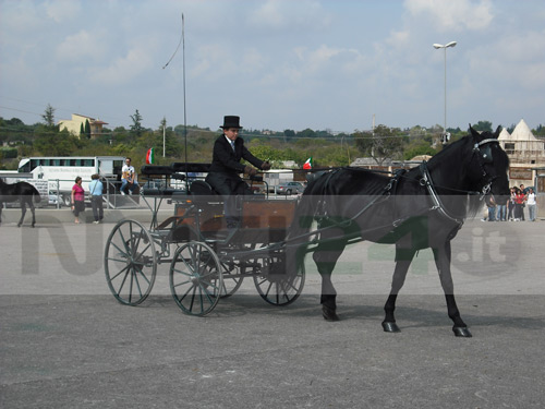 09-27-carrozza