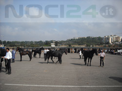 09-27-esposizione_18_mesi