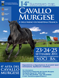09-21-locandina_14_cavallo_murgese