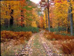 12-02Sentieri-dautunno