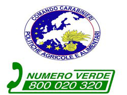 09-07-logo_e_numero_verde_nac