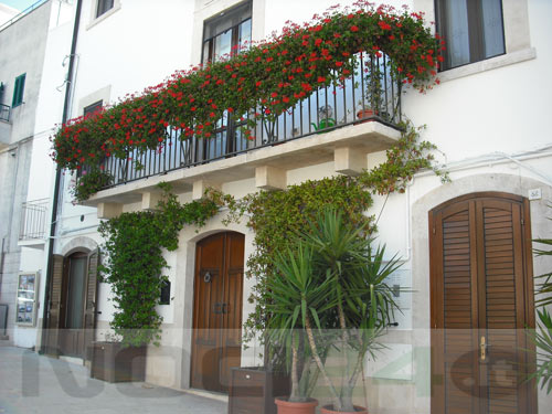 07-23-balcone_fiorito_di_elisabetta_intini