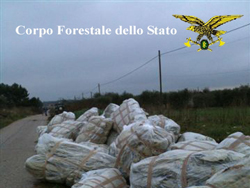 03-28-discarica-forestale