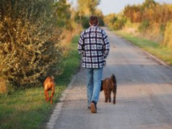 04-08-animalfriendly
