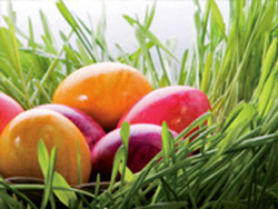 04-08-pasquetta-2012