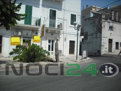 07-04-albero-caduto